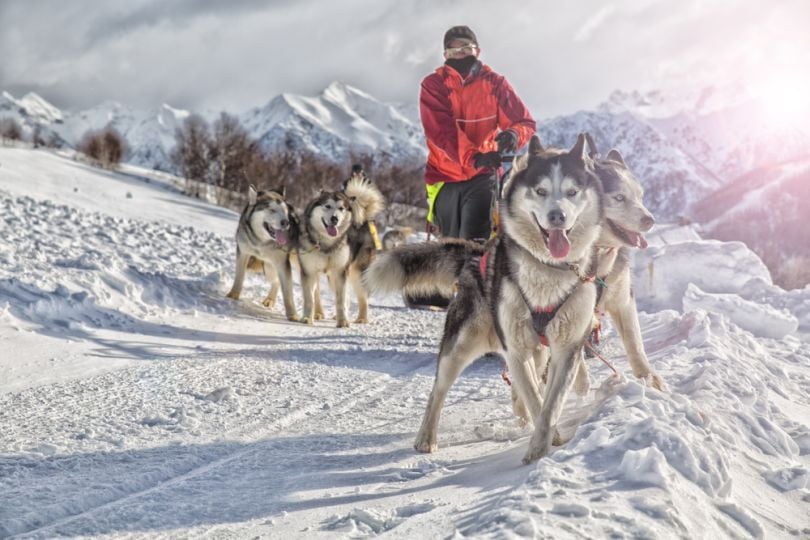 robotics-drones-Alaska