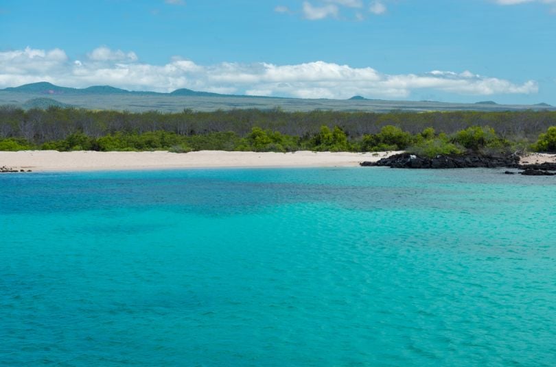 Poison-dropping drones fight back rat invasion on island 